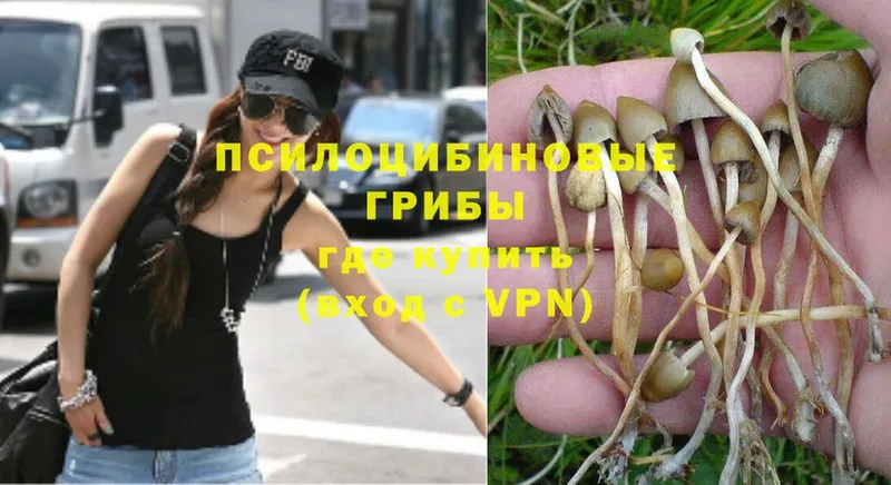 Галлюциногенные грибы Psilocybe  ОМГ ОМГ рабочий сайт  Лыткарино 